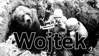 ‘Wojtek’ ตำนานหมีทหาร หมีสีน้ำตาลแสนรู้ที่ได้เข้าประจำการในกองทัพโปแลนด์จนได้ติดยศสิบโท [วอยแต็ก]