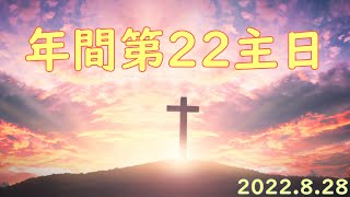 年間第22主日 2022