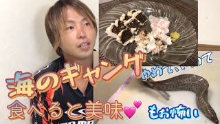 〈閲覧注意〉生きてるウツボに神経締め！そして食べてみた♪〈釣って魚捌き動画#14〉