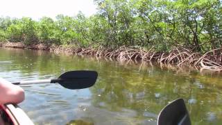 Kayaking in Grand Bahamas Lucayan National Park: Part 1: Relaxing