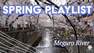 Meguro Spring Playlist | Music and Sounds to Relax You | Hanami (Cherry Blossom Viewing) Playlist