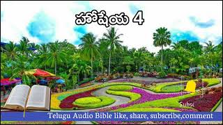 Hosea - హోషేయ 4