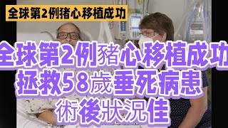 全球第2例豬心移植成功！拯救58歲垂死病患，術後狀況佳