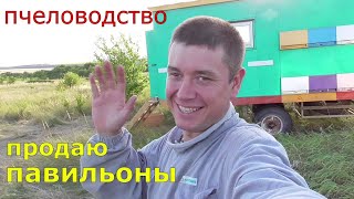 Гречка 5кг в день / БАД для пчёл / Продаю пасеку.