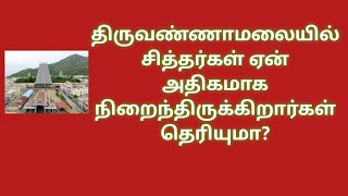 திருவண்ணாமலையில் சித்தர்கள் ஏன் அதிகமாக நிறைந்திருக்கிறார்கள் தெரியுமா?