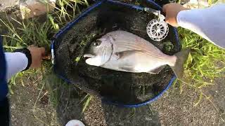 2024 07 17～18 梅雨明け間近の魚釣り