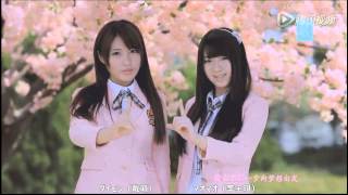 SNH48 『桜の木になろう』公式PV歌唱版 日本語字幕付き [HD]