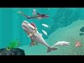 Hungry Shark Evolution Moby Dick Android Gameplay #16
