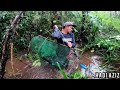 spot bubu dilanda banjir. pesta ikan keli limbat 😱 part 1 EPS.90