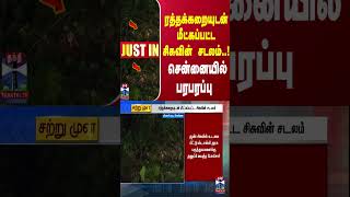 #JUSTIN || ரத்தக்கறையுடன் மீட்கப்பட்ட சிசுவின் சடலம்..!சென்னையில் பரபரப்பு | Chennai