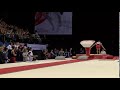 James Hall   AA GOLD   Vault 1  2019 British Gymnastics Championships   MAG SNR AA