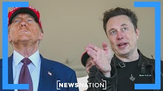 Steve Bannon tells Elon Musk to ‘sit in the back and study’ | Vargas Reports