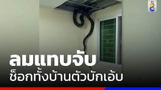 เจ้าของบ้านช็อก ฝ้าพังปีนขึ้นไปรื้อ เจองูยักษ์ | ข่าวช่อง8