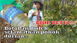 BOTOL AIR BOLEH SELAMATKAN POKOK DURIAN | BIOR BETUL !!! | EPISOD 44