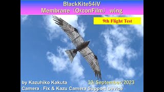 トビ型羽ばたき機　BlackKite54iV : 9th Flight Test for Gliding by wings with Airfoil no undercover