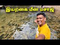 மீன் மஜாஜ் Ranau Tourist Place / Sabah Malaysia | Asraf vlog