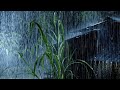 폭우 실시간 10시간 - 수면을 위한 최고의 폭우 소리 - ASMR 빗소리 백색소음 - 뇌우 빗소리