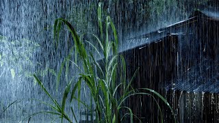 폭우 실시간 10시간 - 수면을 위한 최고의 폭우 소리 - ASMR 빗소리 백색소음 - 뇌우 빗소리