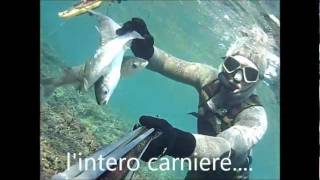 PESCATA A BRINDISI.wmv