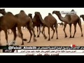 منقية الشيخ ماجد غازي الحابوط طلابات 1435