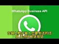 whatsapp如何同时给多人发消息？ whatsapp群发消息 同时发送whatsapp消息 whatsapp批量发送