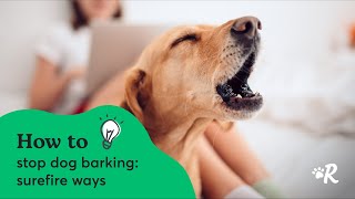 Expert Tips for How to Stop Dog Barking in Seconds
