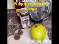 Pulque curado de mango by Casa Marinez. Pulque.com