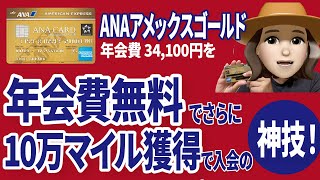 【大暴露】こんな方法があったなんて！ANAアメックスゴールドを初年度年会費無料で入会する裏技