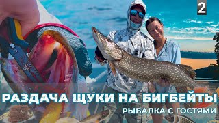 Раздача Щук и Судаков На Большие Приманки! Бигбейты в деле! Открытие Летнего Сезона!