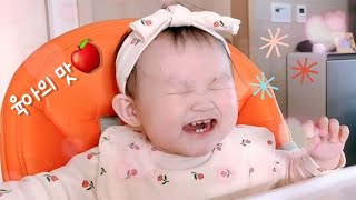 [육아브이로그] #52 9개월아기 육아의 맛🍎 ㅣ 걸음마연습 ㅣ 과일퓨레 ㅣ 시댁방문 ㅣ 상큼터지는 9개월시작