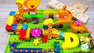 Marble Run ASMR Race☆Building Blocks Colorful Coasters × HABA wave slope Quadrilla　8min