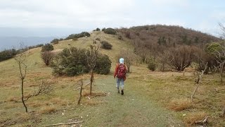 【登山】日本三百名山に登ってみた31　三峰山編