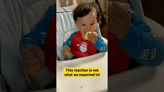 What happens if baby eats lemon.　レモンを食べる赤ちゃん