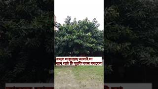 রাসূল সাল্লাল্লাহু আলাই সাল্লাম আট টি সুন্নতি কাজ করতেন #motivation #sylhettravel #reels #