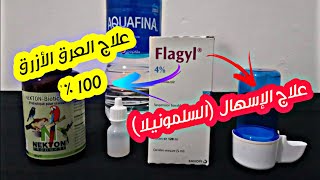 طريقة إعطاء الفلاجيل (Flagyl) للطيور الكناري والأمراض التي يعالجها