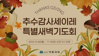 [개포교회 추수감사세이레특별새벽기도회] 2024.11.15 (금) l 안아주심의 하나님께 감사하라 l 시편 90:1-17 l 이상혁 담임목사