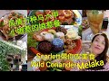 Scarlett叹美食13 -- 马六甲美食游记 (一)  Melaka  Wild Coriander ＃娘惹菜＃ 来马六甲怎能错过精致的美食娘惹餐 兰花饭 !!