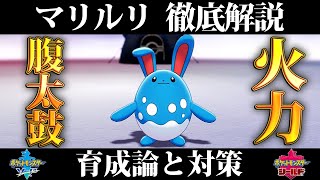 【ポケモン剣盾】マリルリの育成論と対策、入手方法まとめ！性格や技構成を元プロゲーマーが徹底解説！【鎧の孤島】