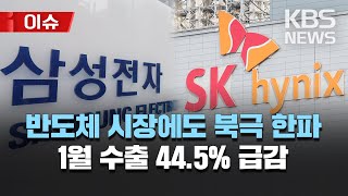 새해 첫달 반도체 수출 전년대비 44.5% 급감…월간 무역적자 역대 최대/'반도체 한파' 예상보다 더 추웠다/[이슈] 2023년 2월 1일(수)/KBS