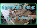 Чем занимаюсь / Где работаю