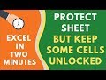 Protect a Sheet in Excel But Leave Some Cells Unlocked