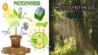 Photosynthesis Process Quiz | How Plants Make Food | @MindSpike-o9h