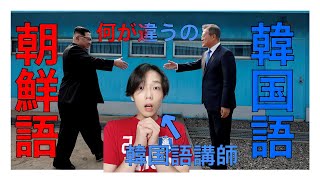 【韓国文化】朝鮮語と韓国語って何が違うの？韓国語講師が解説！