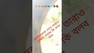 # এইভাবে পশু দেখার মজাটাই আলাদা