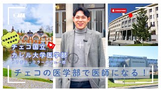 日本人医学生による街紹介🧑‍⚕️チェコ国立カレル大学医学部フラデツ・クラーロヴェー校🩺