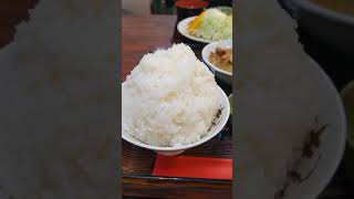 モツ煮込み定食　ご飯大盛り　茨城県那珂郡東海村　まつ食堂 #food #japanesefood #大盛り