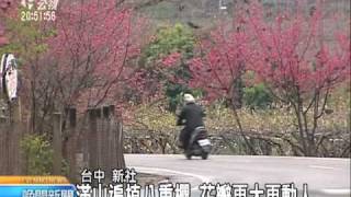 20110214 公視晚間新聞 台中新社花團錦簇 櫻花綻開