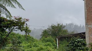 Heavy Rainfall at Night for Instant Sleep | ASMR Thunderstorm Sounds