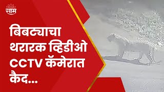 Nashik Leopard News | बिबट्याच्या मुक्त संचाराची दृश्य CCTV कॅमेरात कैद