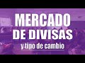 Mercado de divisas y tipo de cambio (con ejercicio resuelto)